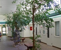Inside Greenhouse School